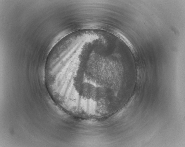 X0000115510994200911271427