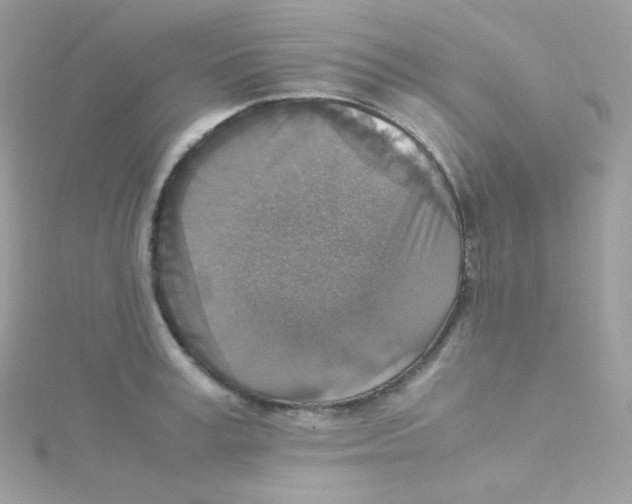 X0000115510995200911271427