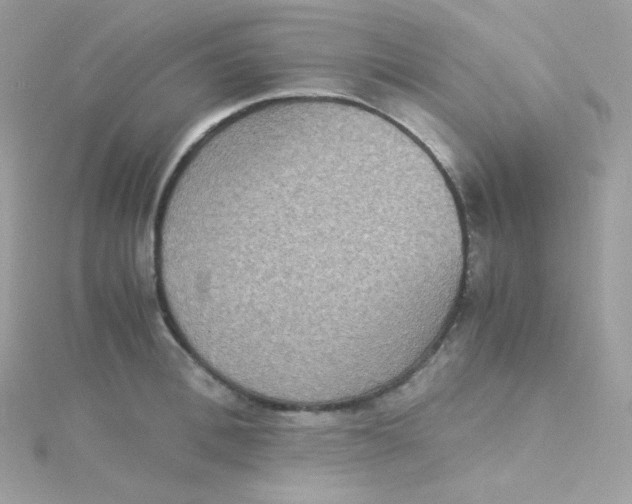 X0000115510996200911271427