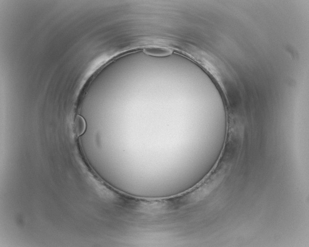 X0000115510997200911271427