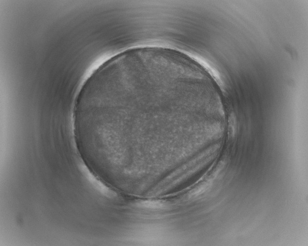 X0000115510998200911271427