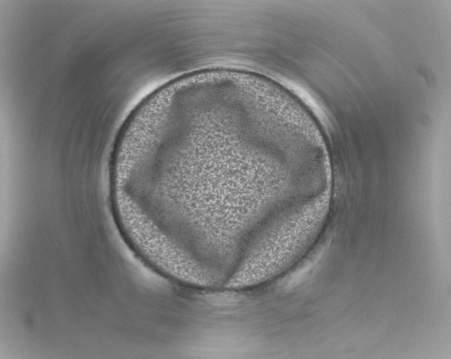 X0000115510999200911271427