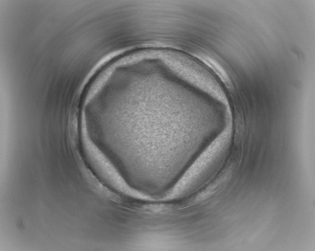 X0000115511000200911271427