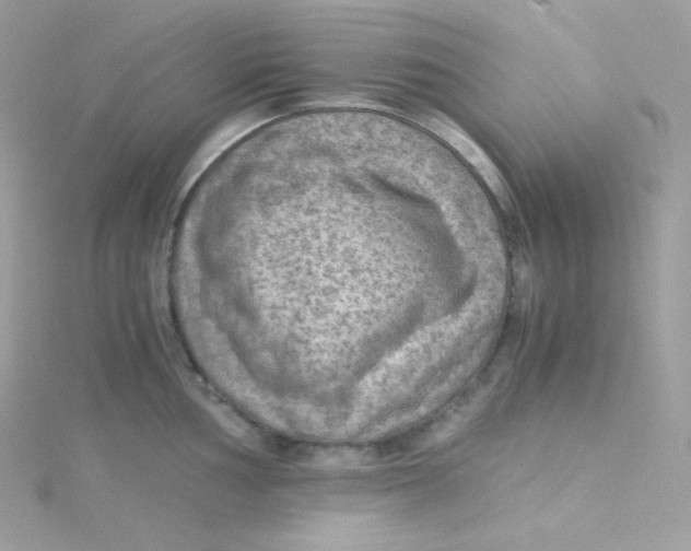 X0000115511002200911271427