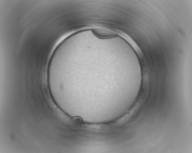 X0000115511004200911271427