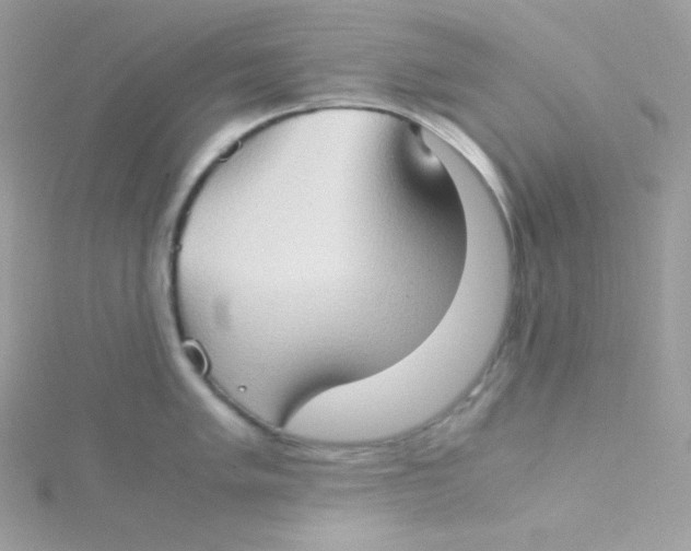 X0000115511005200911271427