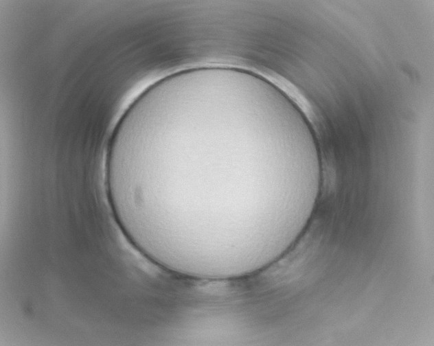 X0000115511006200911271427