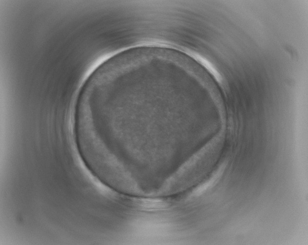 X0000115511007200911271427