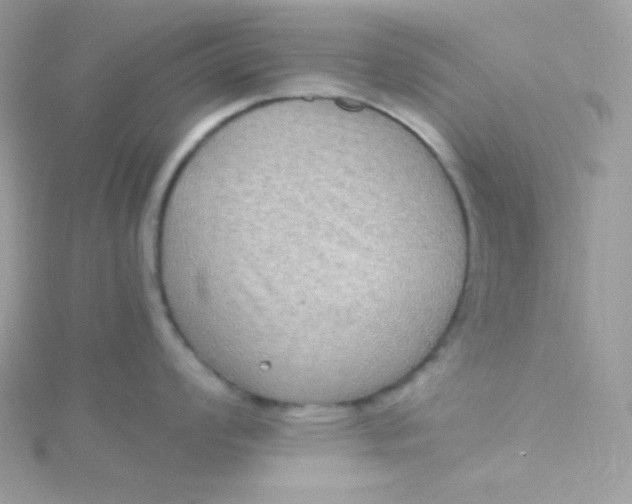 X0000115511008200911271427