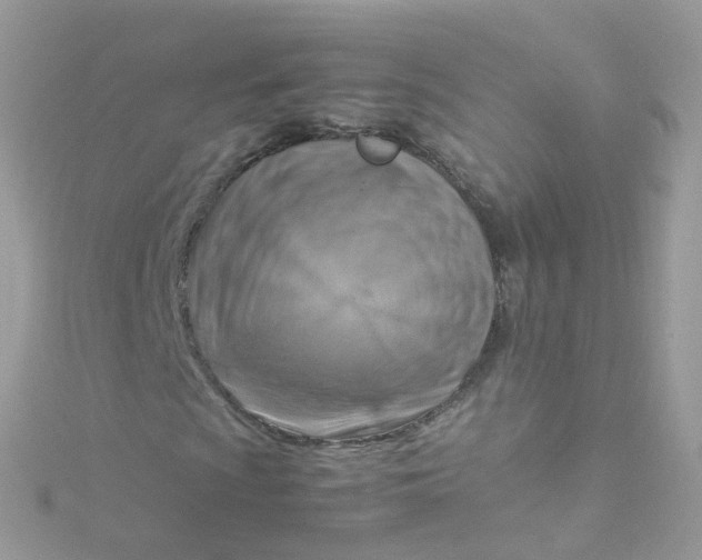 X0000115511009200911271426