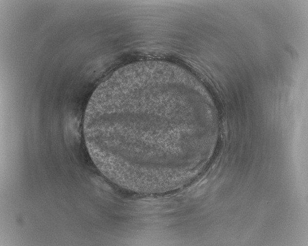 X0000115511010200911271426