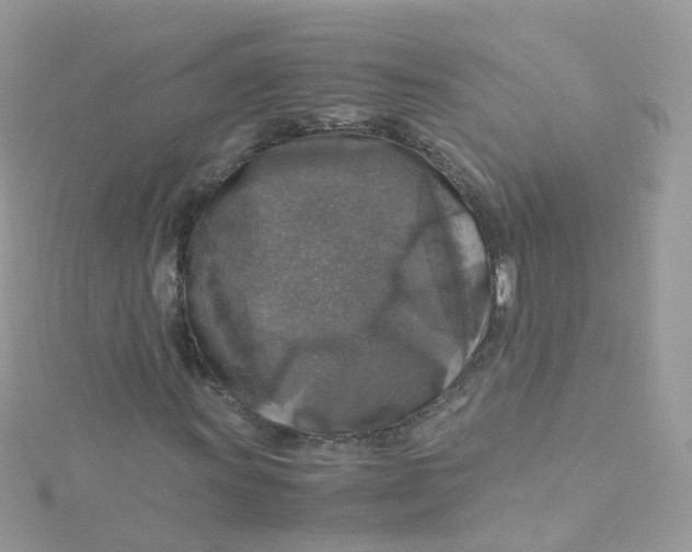 X0000115511011200911271426