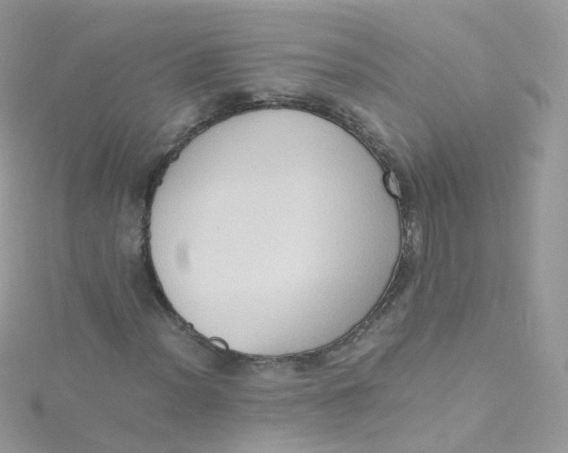 X0000115511012200911271426