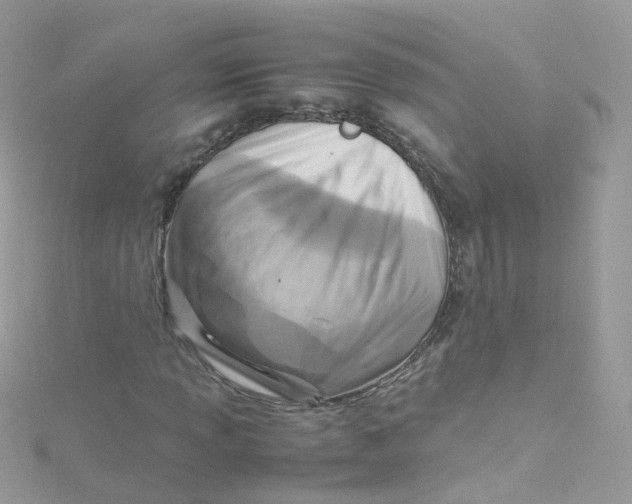 X0000115511013200911271426