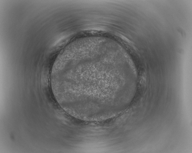 X0000115511014200911271426