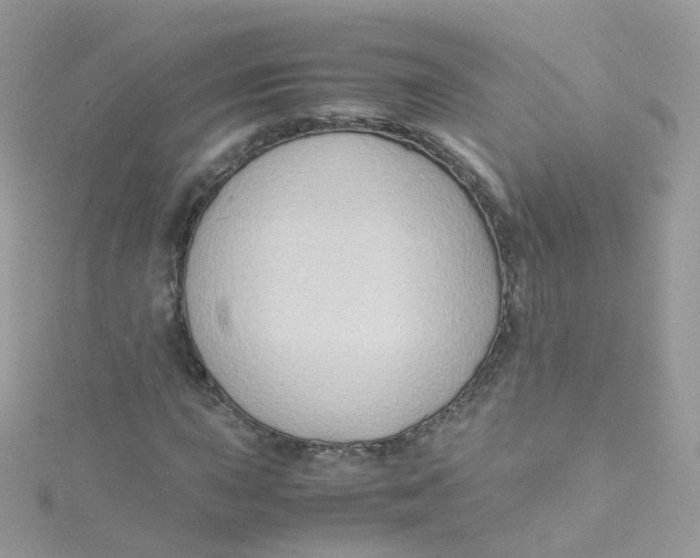 X0000115511015200911271426