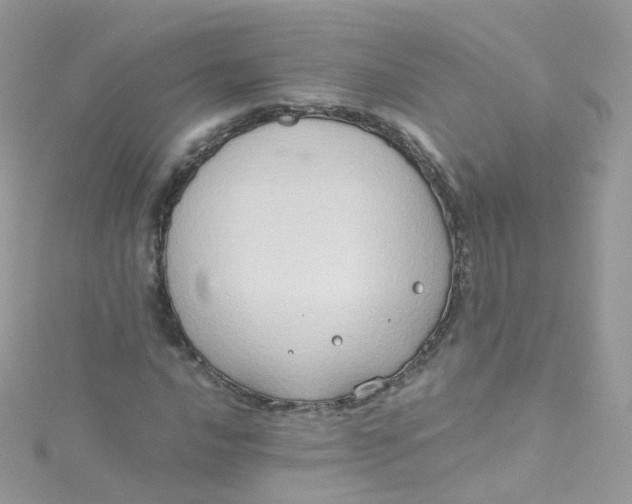 X0000115511016200911271426