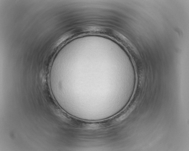 X0000115511017200911271426