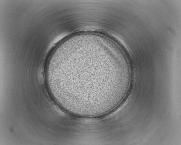 X0000115511018200911271426