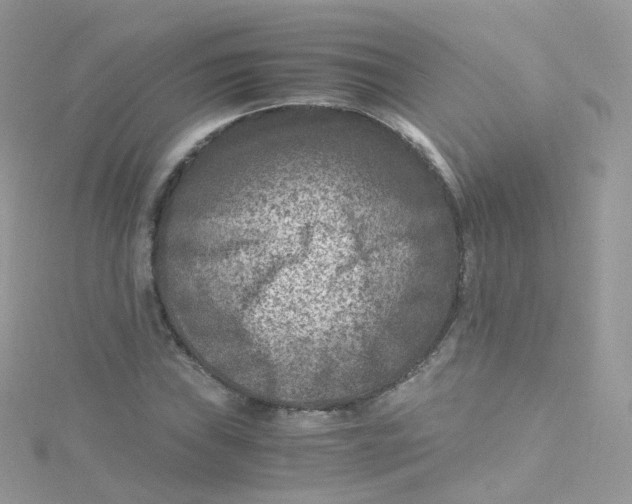 X0000115511019200911271426