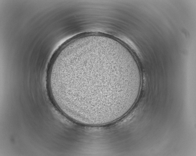 X0000115511020200911271426