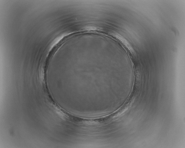 X0000115511023200911271426