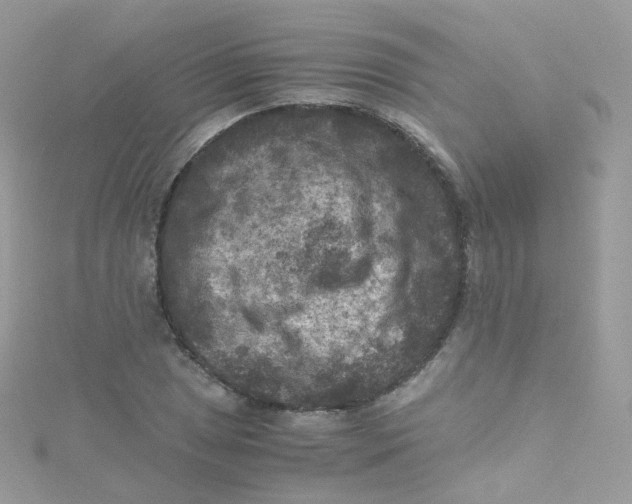 X0000115511025200911271426