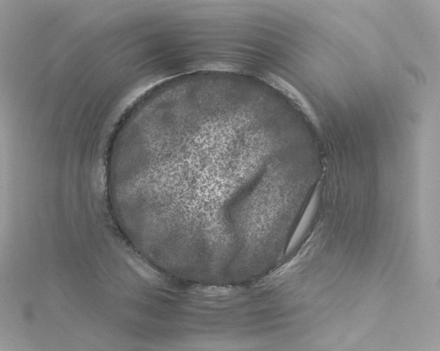 X0000115511027200911271426