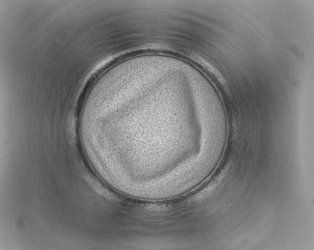 X0000115511029200911271426