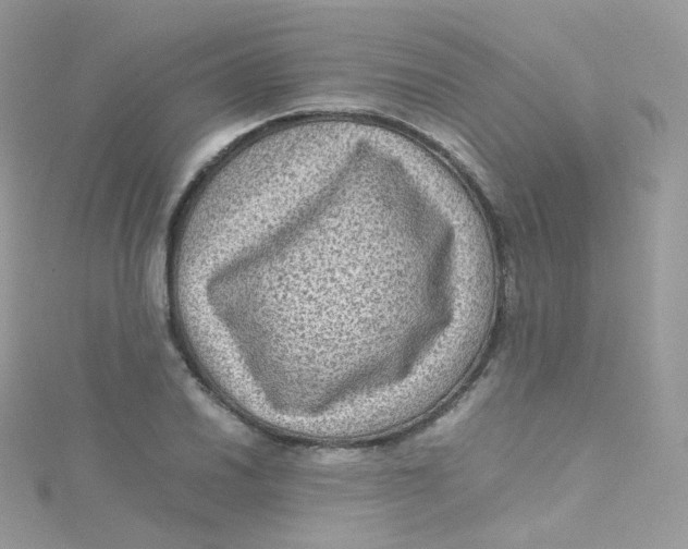 X0000115511030200911271426