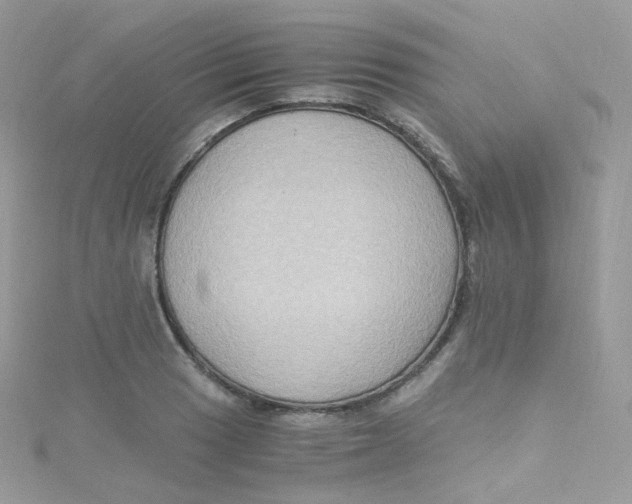 X0000115511033200911271427