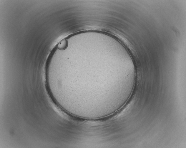 X0000115511034200911271427