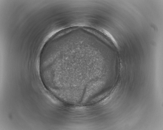 X0000115511035200911271427