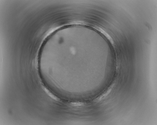 X0000115511037200911271427