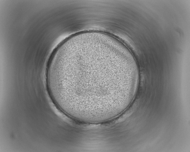 X0000115511038200911271427