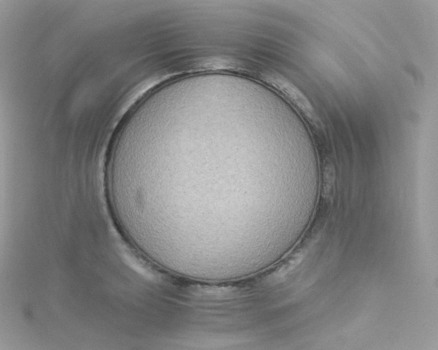 X0000115511039200911271427