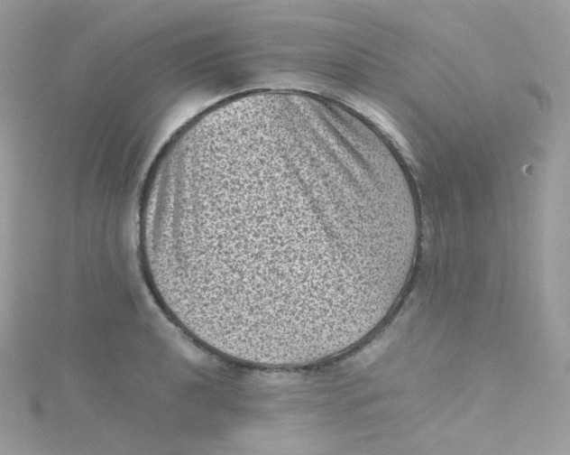 X0000115511040200911271427