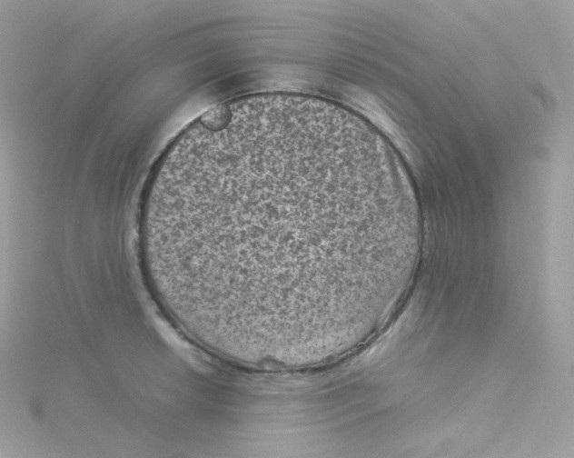 X0000115511042200911271427