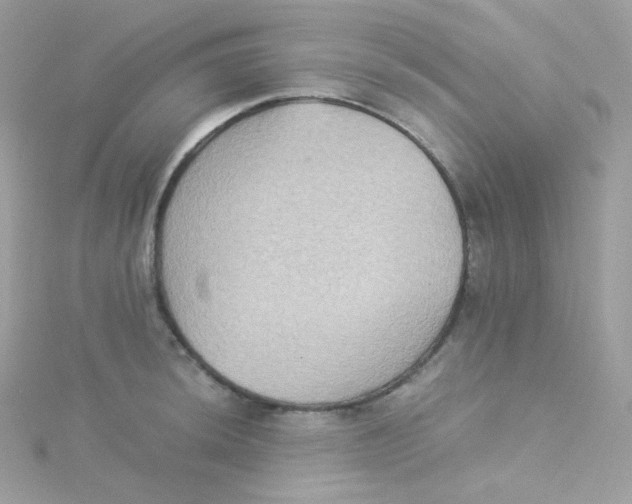 X0000115511044200911271427