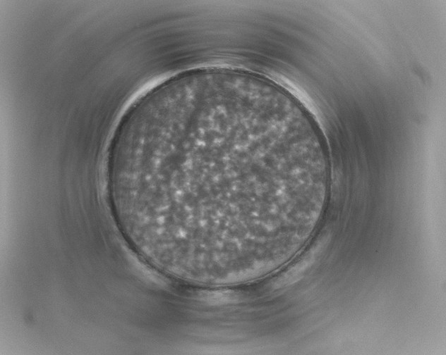 X0000115511045200911271427