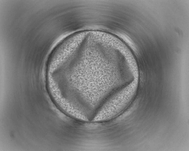 X0000115511046200911271427