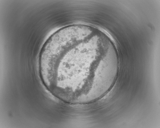 X0000115511048200911271427