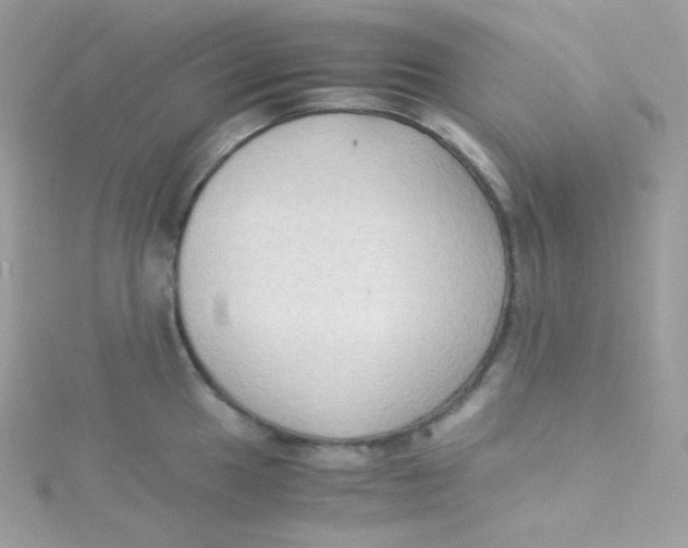 X0000115511049200911271427