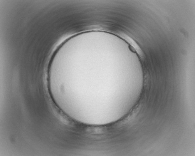 X0000115511051200911271427