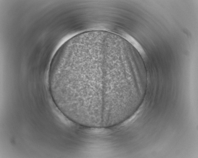 X0000115511052200911271427