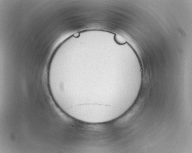 X0000115511053200911271427