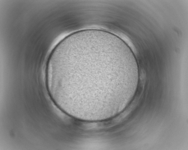 X0000115511054200911271427