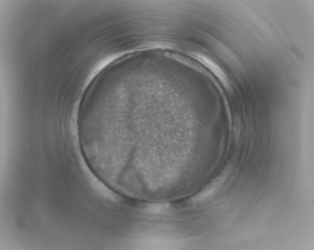 X0000115511055200911271427