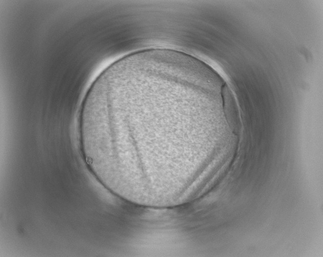 X0000115511056200911271427