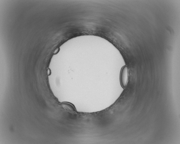 X0000115511057200911271426